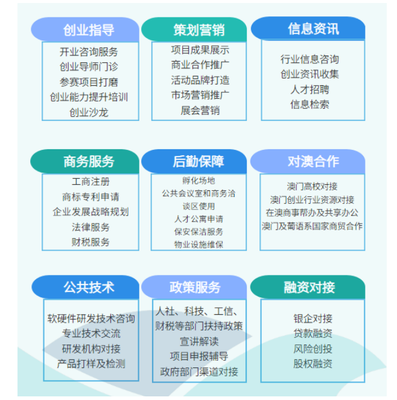 就業(yè)新航向 銷售與技術(shù)服務(wù)咨詢的雙軌并行